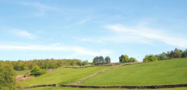 yeşil çayırları ile yaz kırsal manzara