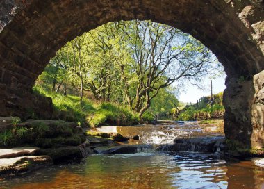  Lumb Hole 'daki eski yük beygiri köprüsünün altındaki manzara Calderdale Batı Yorkshire yakınlarındaki Woodland' da kalıyor.