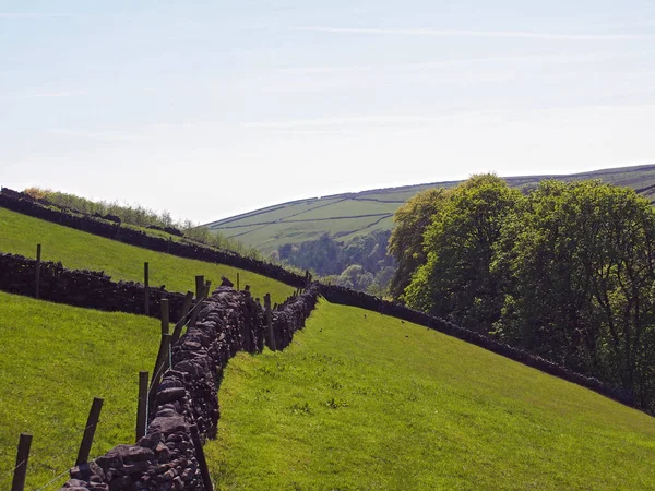 Prados de hierba verde brillante prados con paredes de piedra en los lados de un valle cerca de crimsworth decano y por encima de los riscos de castillo duro en Calderdale con árboles forestales y tierras de cultivo en la distancia — Foto de Stock