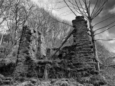 ruins of building in the forest