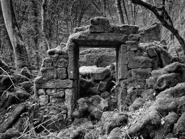 Ormandaki eski taşlar