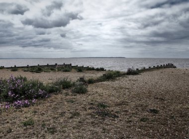 Denizin güzel manzarası