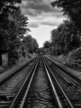 Rayların arasındaki ağaçlar