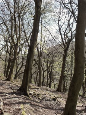 Parkın güzel manzarası