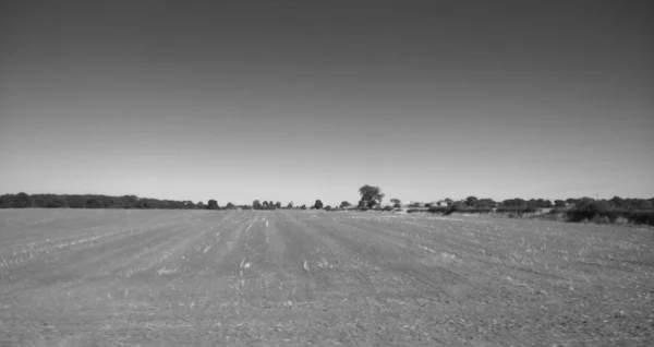 Black White Field Countryside — Stok fotoğraf