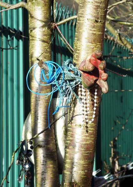 Old Fish Ropes Tree —  Fotos de Stock