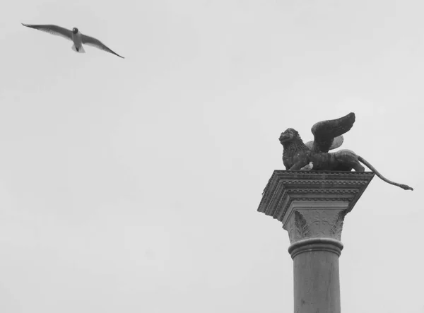 Statue Gull — Foto de Stock