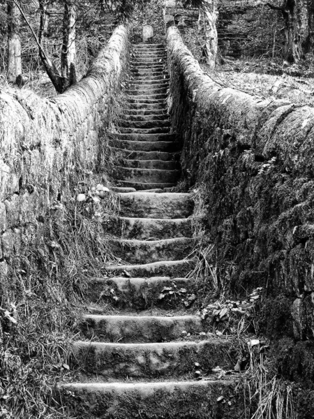 Escaleras Piedra Parque —  Fotos de Stock