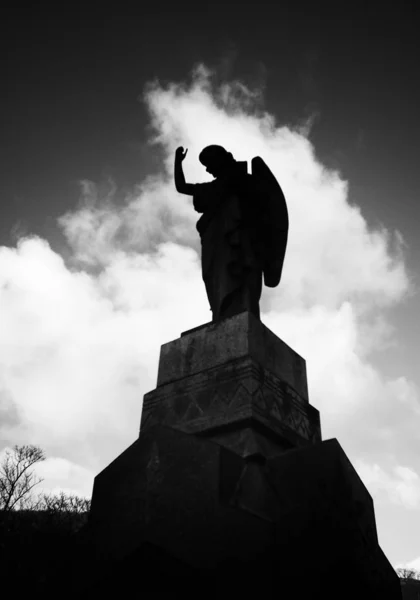 Silhouette Statue Cloudy Sky — 스톡 사진