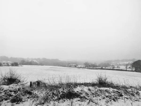 Kış Tarlasıyla Güzel Manzara — Stok fotoğraf
