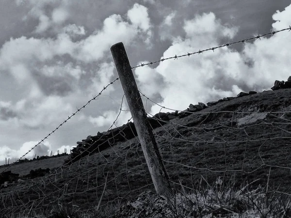 Barbed Fence Countryside — Stok fotoğraf