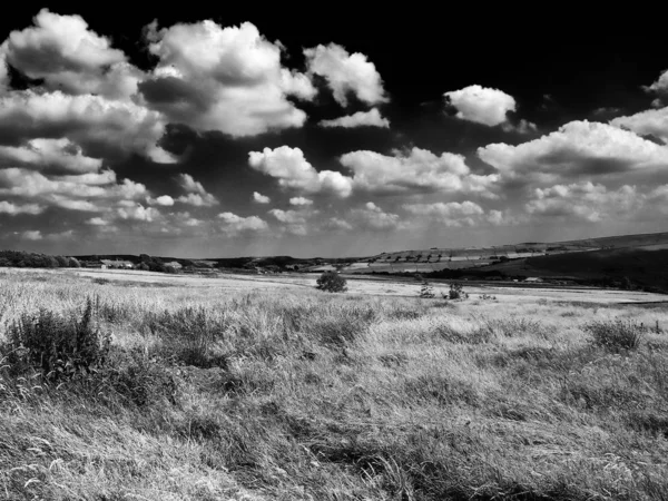 曇り空の畑の白黒写真 — ストック写真