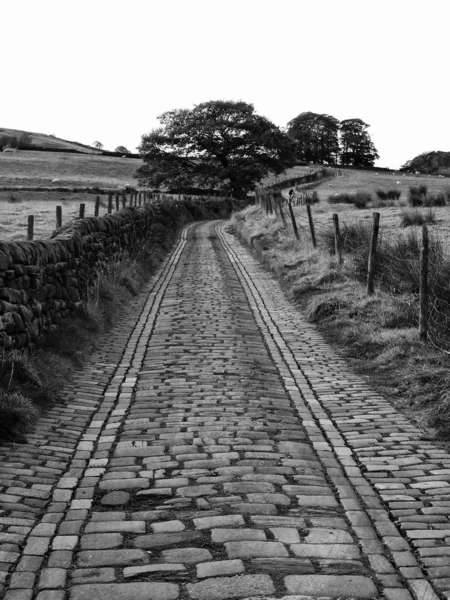 small country lane in yorkshire england with trees