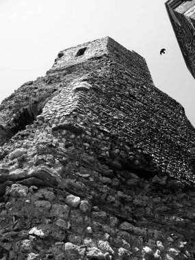 Harabelerin düşük açılı görünümü