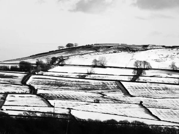 Snötäckta fält och svarta vinter träd på Yorkshire Hillside — Stockfoto