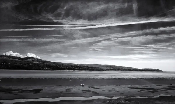 Dämmerung Strand — Stockfoto