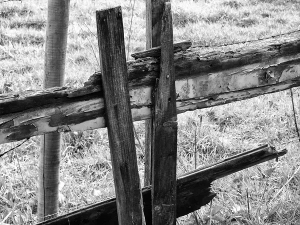 Grunge Kerítés Parkban — Stock Fotó