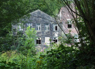 kırık pencereler büyümüş ve ormanlık ağaçlarla çevrili eski bir ıssız bina