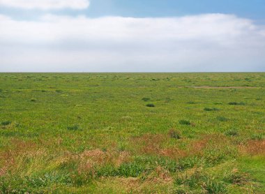 Güney limanı yakınlarındaki Ribble Vadisi 'nde çimenler tuzlu bataklık gelgit manzarasıyla kaplıydı. Mavi güneşli yaz gökyüzünde beyaz bulutlar vardı.