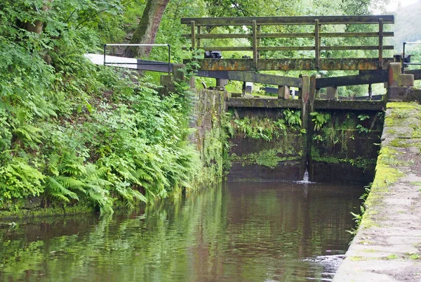 Velhos portões de fechadura de madeira no canal rochdale coberto com plantas e samambaias em um cenário de floresta rural perto da ponte hebden no oeste de yorkshire — Fotografia de Stock