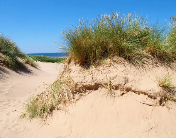 Grass on the top of sand dunes near the beach on the sefton coast in merseyside with blue summer sea and sky — Stock Photo, Image
