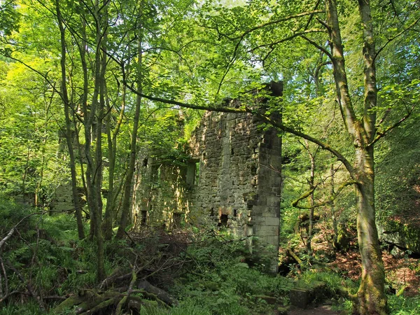Un antiguo edificio de piedra en ruinas rodeado de árboles de bosque verde a la luz del sol brillante originalmente llamado molino staups en el oeste de York — Foto de Stock