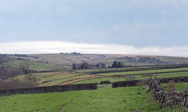 Batı Yorkshire manzarası. Etrafı taştan duvarlarla çevrili. Çiftlik evleri var.