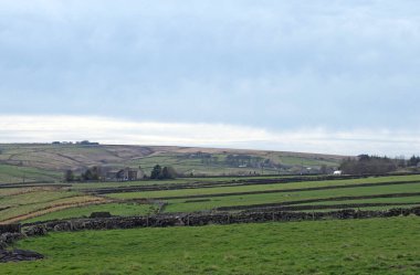 Batı Yorkshire manzarası. Etrafı taştan duvarlarla çevrili. Çiftlik evleri var.