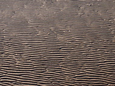 Islak kum ve gölgede suyla oluşmuş dalgalı şekilli yüzeyi olan tam bir kumsal arka planı.