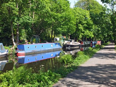 Kanal tekneleri, yaz güneşinde ağaçlarla çevrili Hebden Köprüsü yakınlarındaki Rochdale Kanalı 'nda demirlemişti.