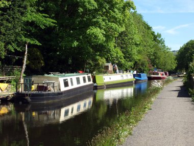 Kanal tekneleri, yaz güneşinde ağaçlarla çevrili Hebden Köprüsü yakınlarındaki Rochdale Kanalı 'nda demirlemişti.