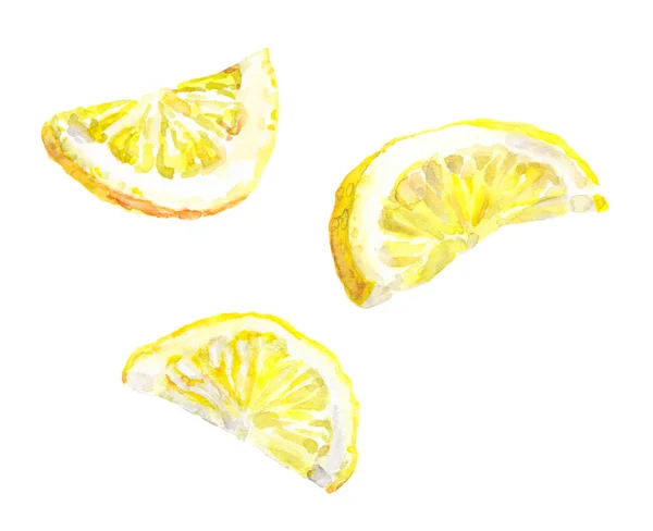 Watercolor painted lemon slices — Stock Photo, Image