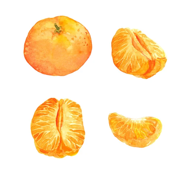 Набір мандаринових апельсинових фруктів акварель — стокове фото