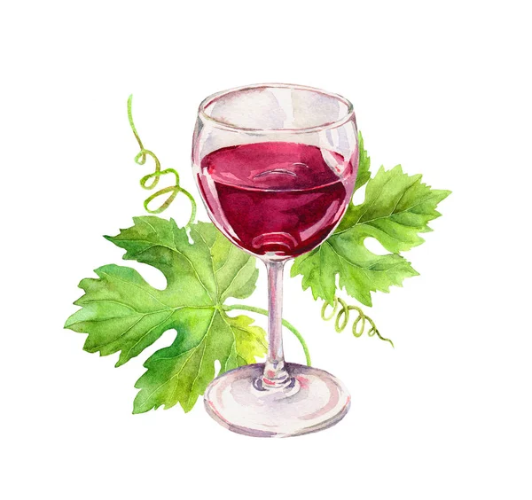 Sklenice na víno s révy vinné listy, svitky. Akvarel — Stock fotografie