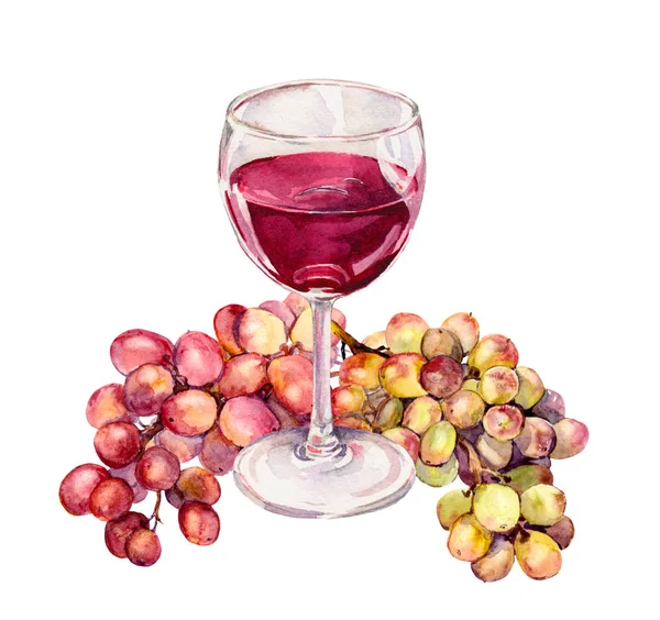 Copa con vino tinto, uva. Acuarela — Foto de Stock