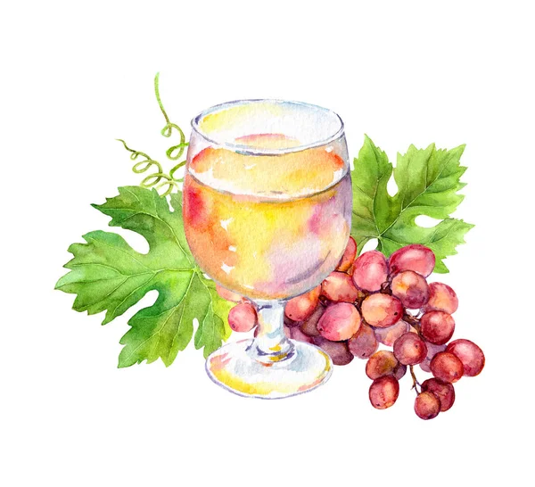 Roze glas wijn met wijnstokken bladeren, druiven bessen. Aquarel — Stockfoto