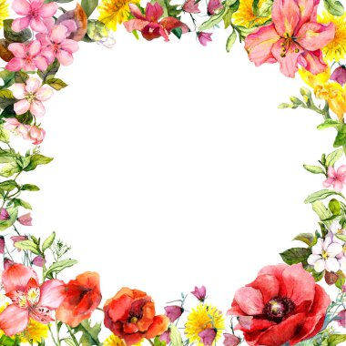 Vahşi çayır çiçekler, alan otlar. Çiçek kartı veya çerçeve. Suluboya