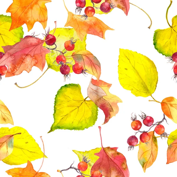 Folhas de outono, bagas vermelhas. Padrão de outono sem costura. Aquarela — Fotografia de Stock