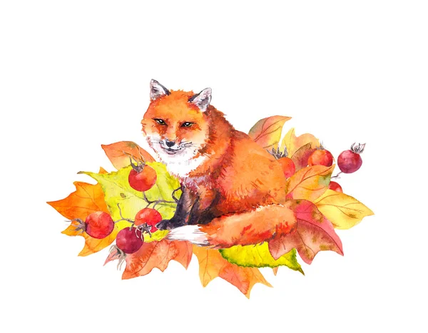 Cute fox in autumn leaves. Watercolor — Stock Photo, Image