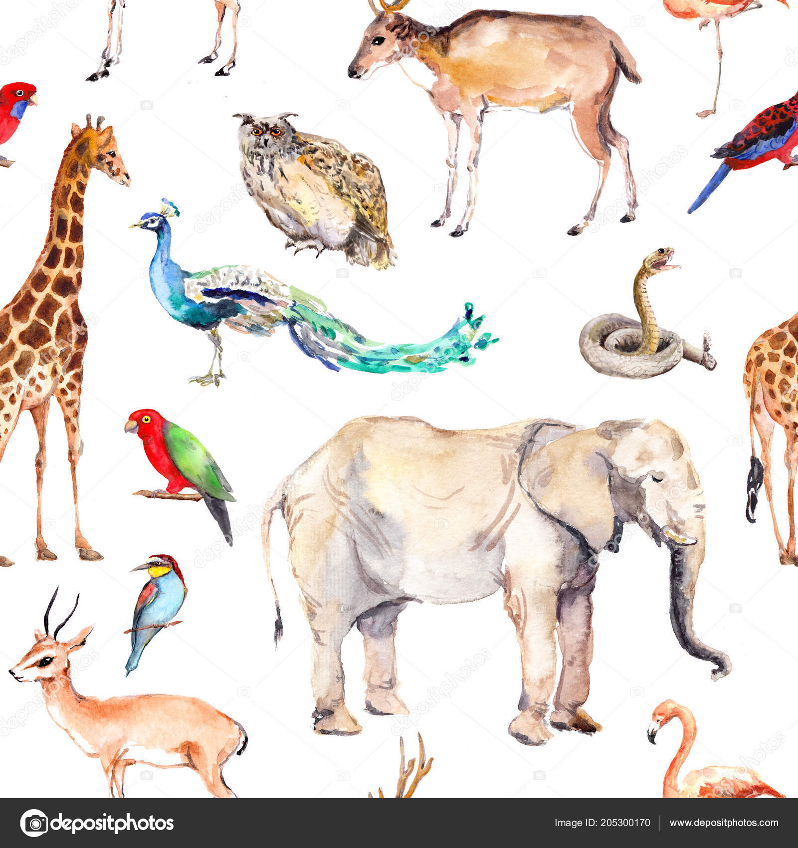 Wild animals and birds - zoo, wildlife - elephant, giraffe, deer, owl,  parrot, other . Seamless pattern. Watercolor Stock Photo by ©zzzorikk  205300170