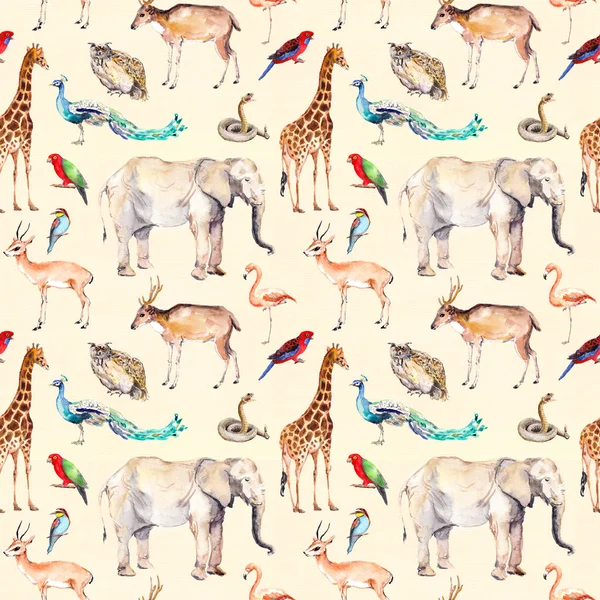 Wild animals - zoo, wildlife. Seamless pattern. Watercolor — Stock Photo, Image