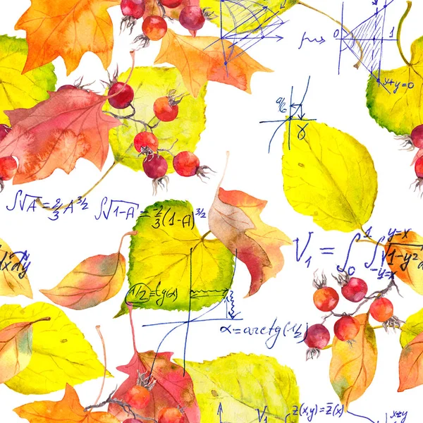 Tasarım okulu - matematiksel notlar ve sarı sonbahar yaprakları. Kesintisiz eğitim desen. El yazılı metin, suluboya — Stok fotoğraf