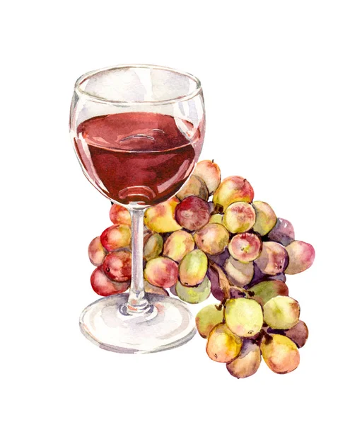 Pintura de acuarela - uva, copa de vino — Foto de Stock