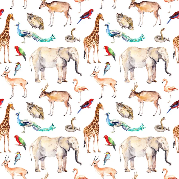 Wild animals - zoo, wildlife. Seamless pattern. Watercolor — Stock Photo, Image