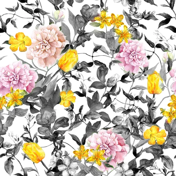 Területén virágok, füvek, gyógynövények. Varrat nélküli nyári mintás, fekete és fehér színekben. Akvarell — Stock Fotó