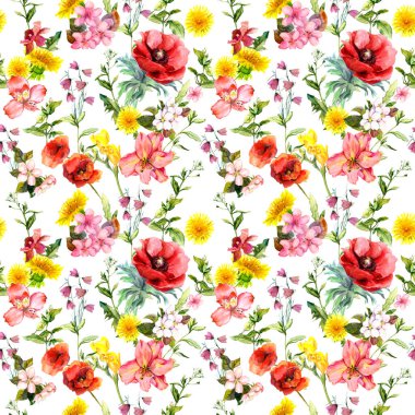 Alan çiçekler, yabani otlar, yabani otlar. Sorunsuz yaz desen. Suluboya