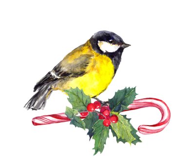 Şeker kamışı ve xmas ökseotu Noel baştankara kuş. Suluboya