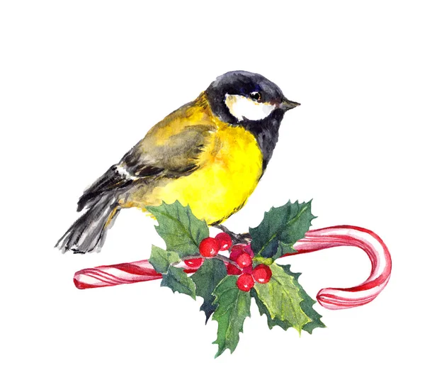 Christmas tit bird on candy cane and xmas mistletoe. Watercolor — Stock Photo, Image