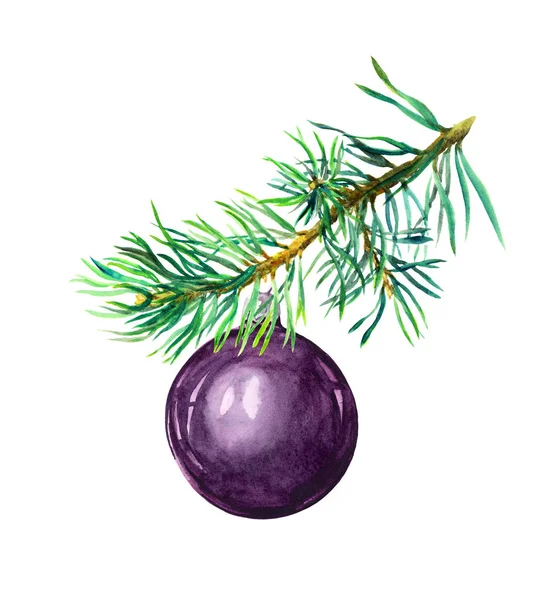 Větev borovice s černým Vánoční cetka míč. Akvarel — Stock fotografie