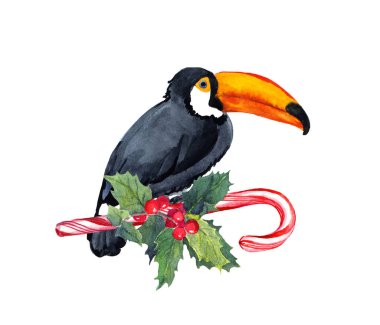 Toucan kuş Noel şeker kamışı xmas Ökseotu ile. Egzotik Noel için alışılmadık tebrik kartı. Suluboya kartı